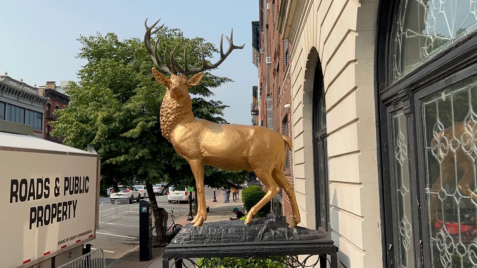 Elks Lodge -Fire Escape Inspection